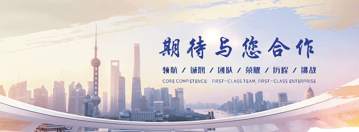 美衡地磅(池州运营中心)